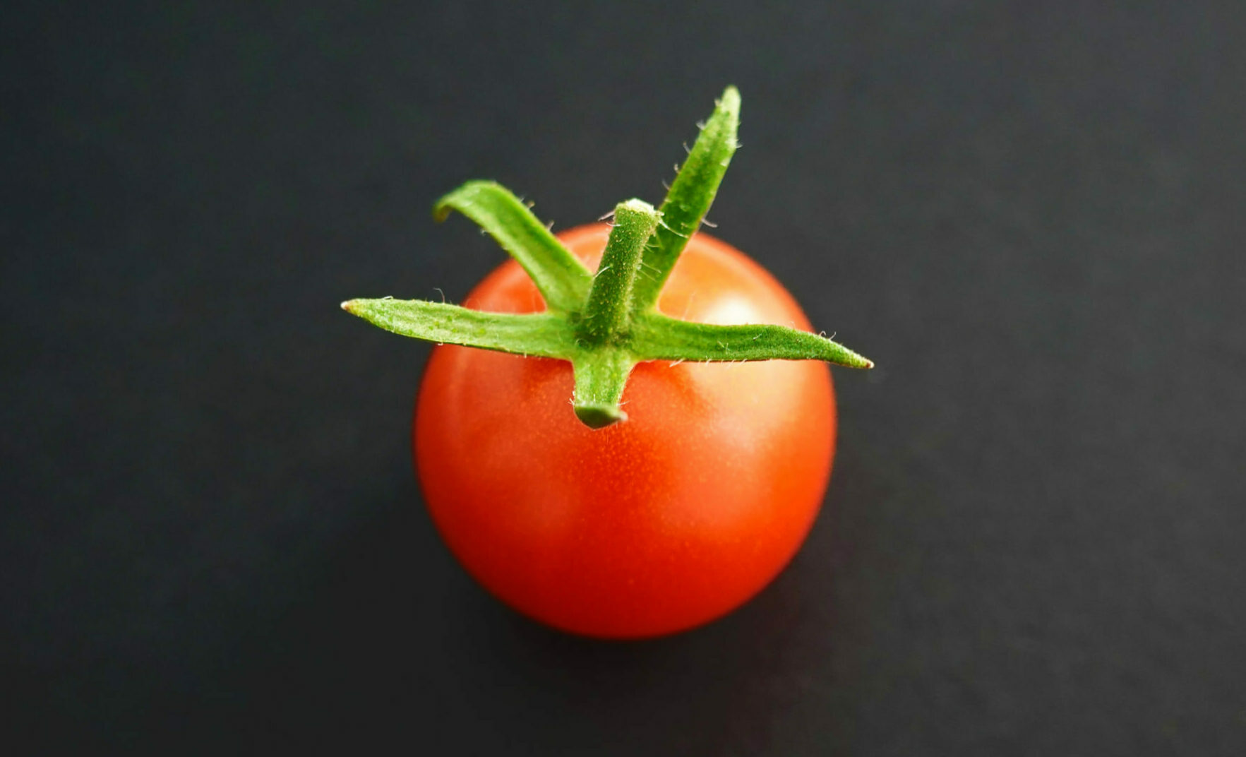 Tomato